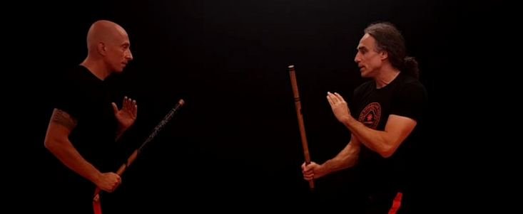 Video-Dojo FMA-Austria-Singlestick-Beitragsbild.jpg